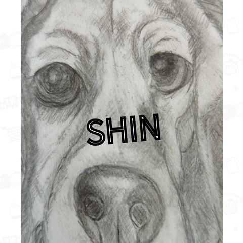 SHiN