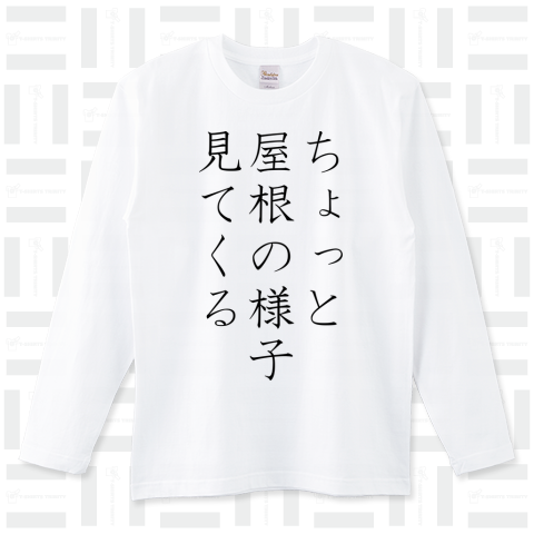 ちょっと屋根の様子見てくる