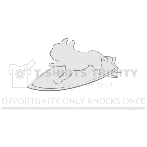 ブヒサーフィン