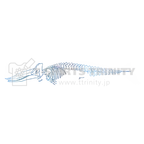 マッコウクジラの骨格 デザインtシャツ通販 Tシャツトリニティ