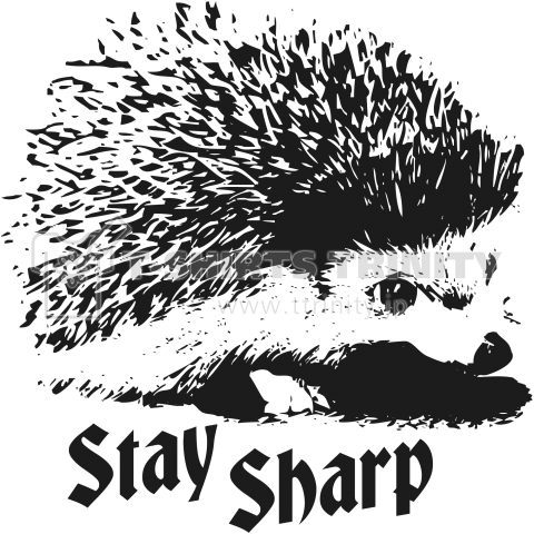 Hedgehog Stay Sharp ハリネズミ