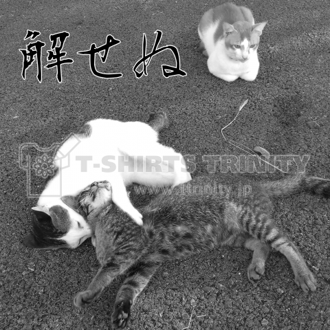 解せぬ猫