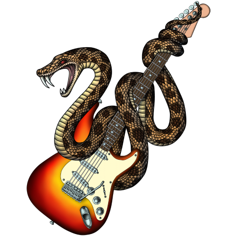 Snake Guitar 01