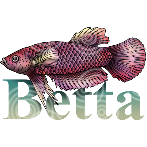 Betta