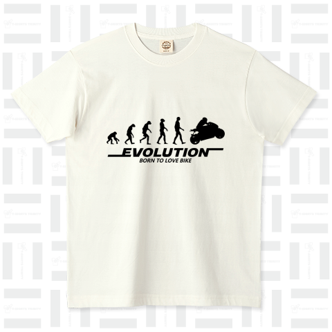 EVOLUTION BIKER BK