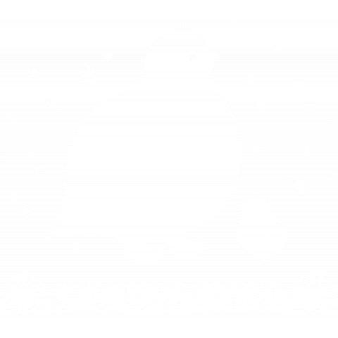 Snowy Bird デザインtシャツ通販 Tシャツトリニティ