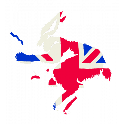 ギターウサギと旗