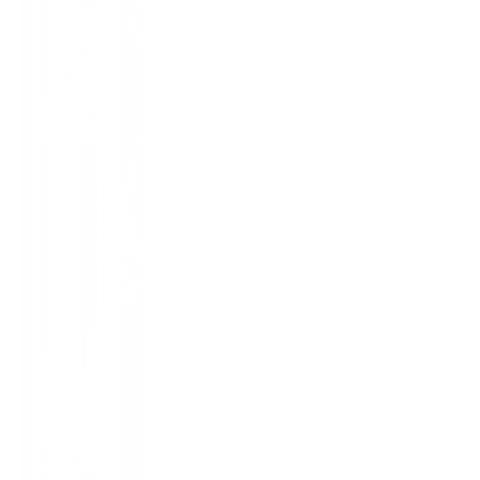 NEVER SAY NEVER