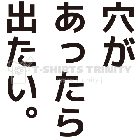 穴があったら出たい。