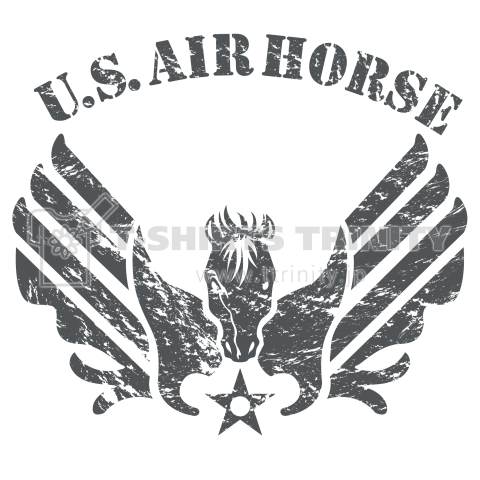 US AIR HORSE_1