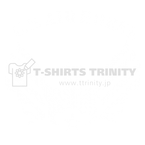 US AIR HORSE_2