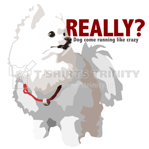 POMERANIAN -really?-