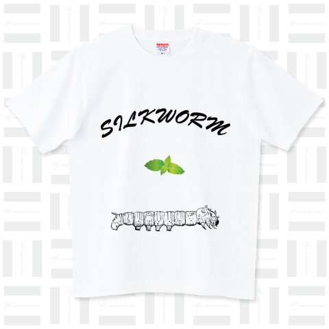 Silkworm【カイコ】