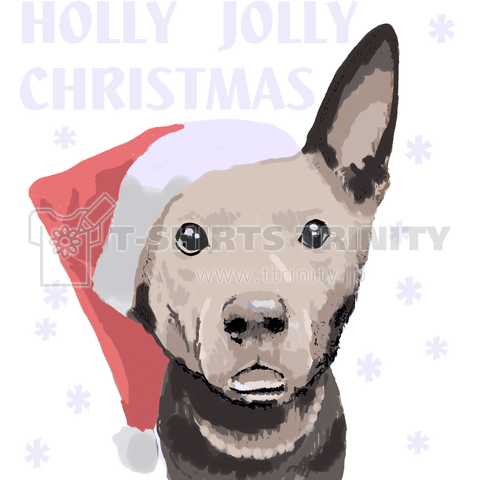 HOLLY JOLLY CHRISTMAS