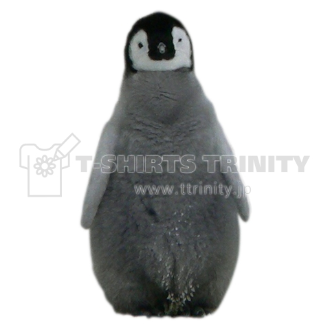 皇帝ペンギンの赤ちゃん デザインtシャツ通販 Tシャツトリニティ
