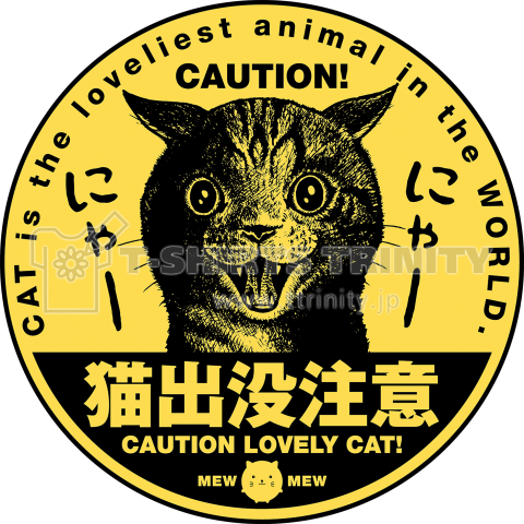 猫出没注意