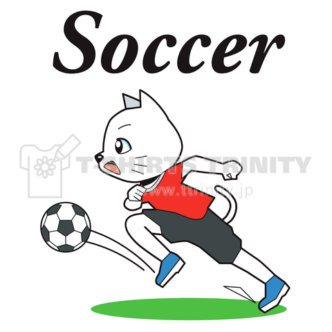 サッカープレーヤー猫ちゃん