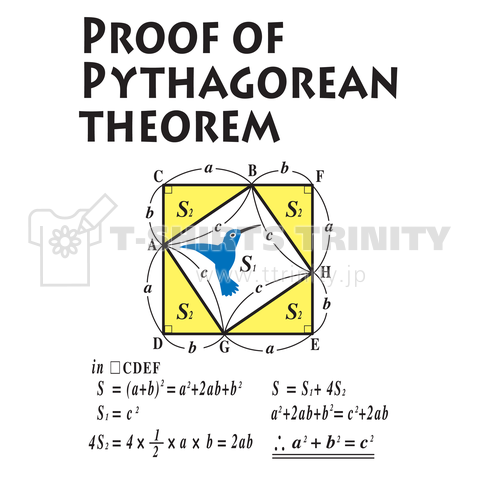 ピタゴラスの定理の証明とハチ鳥