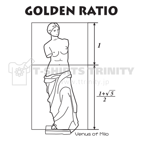 ミロのビーナスと黄金比