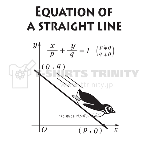 直線の方程式上を滑り降りるフンボルトペンギン