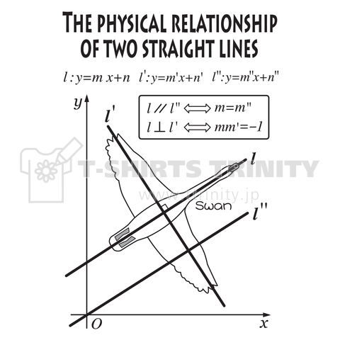 2直線の位置関係と翼を広げ大空を飛ぶ白鳥