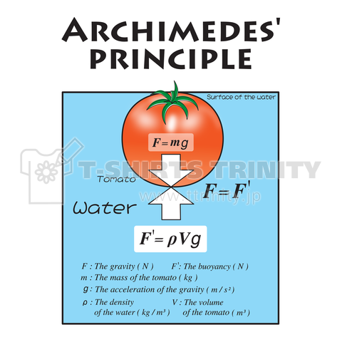 アルキメデスの原理(トマトにおける浮力と重力のつり合い)