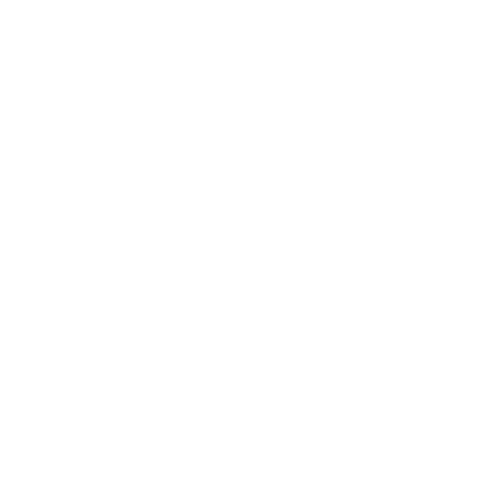 NiKIRIN クレイジージラフ