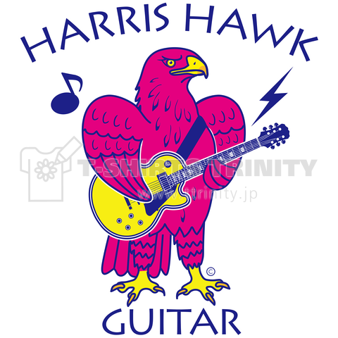 ハリスホーク・ギター・鷲・鷹・ピンク・音楽・モモアカノスリ・なつく・ペット・狩り・Harris Hawk・イラスト・Guitar・絵・鳩よけ・鳥・猛禽・タカ目タカ科・オリジナル作品(C)