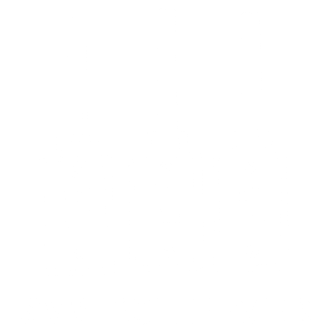 SWITCH FEVER