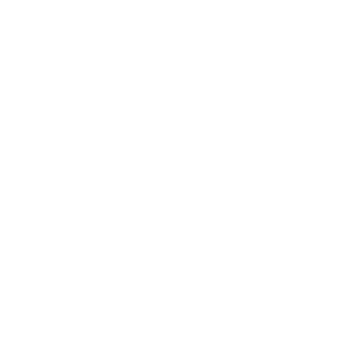 Panda With Apple