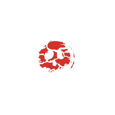 Crazy Sun