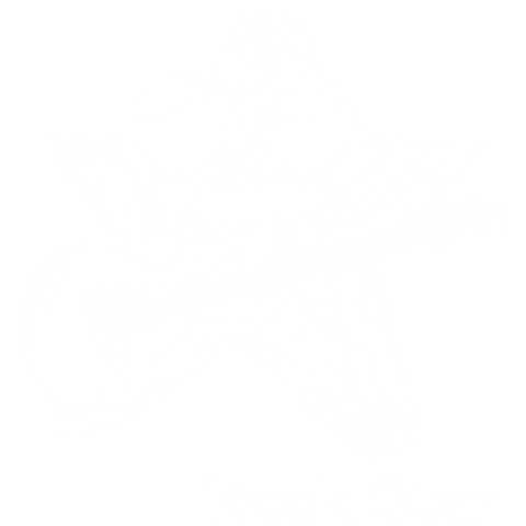 ROCK STAR