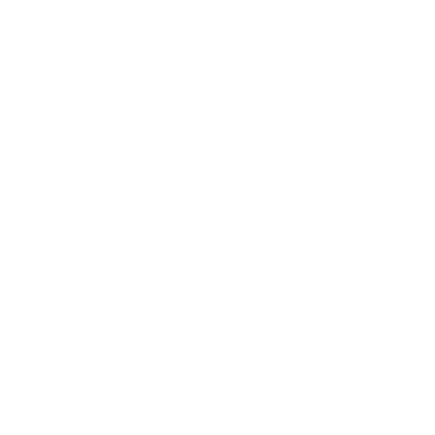 Balloonfish