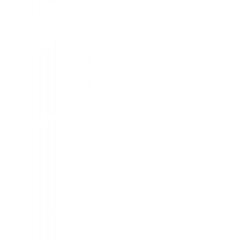 Ant