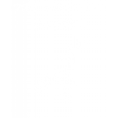 The Japanese Islands