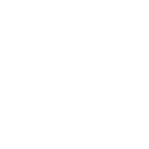 Bulldog and bone