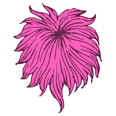 ピンク胸毛