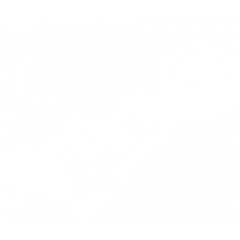 NICE ! BERRY COOL ダーツTシャツ