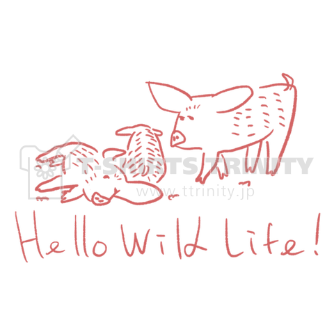 Hello  Wild  Life! ブタ