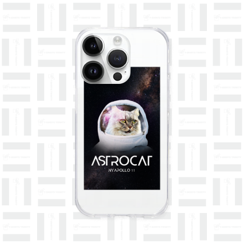 NYAPOLLO11号の宇宙飛行猫 アストロキャット ASTROCAT