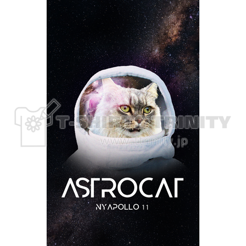 NYAPOLLO11号の宇宙飛行猫 アストロキャット ASTROCAT