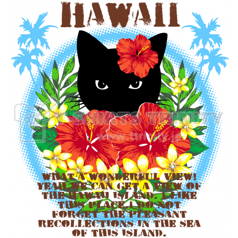 ハワイの黒猫