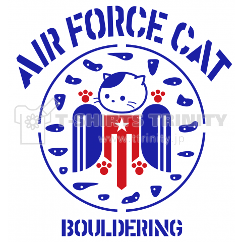アメリカ空軍ボルダリング猫