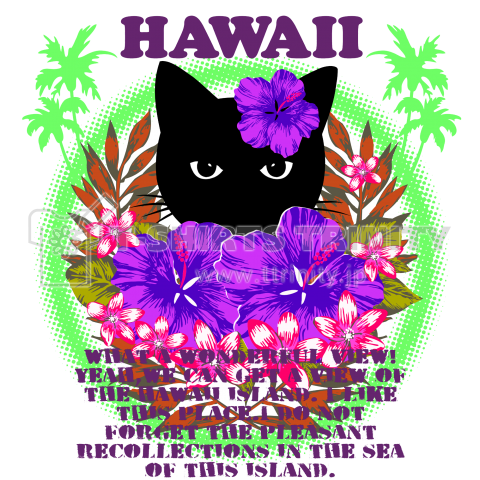 ハワイの黒猫(トワイライト)