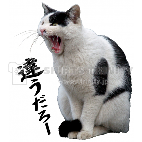 違うだろー 怒り猫 デザインtシャツ通販 Tシャツトリニティ