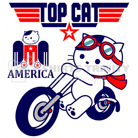 TOP CAT AMERICA