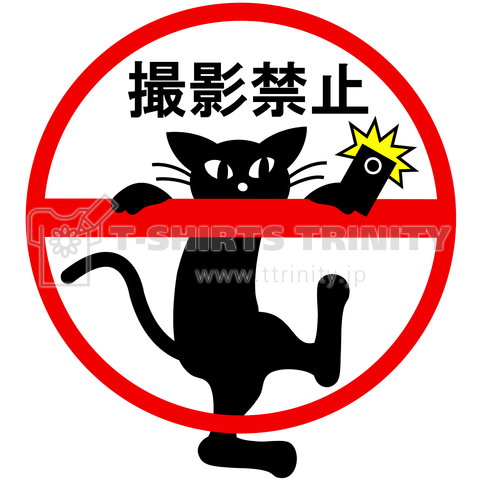 撮影禁止の黒猫