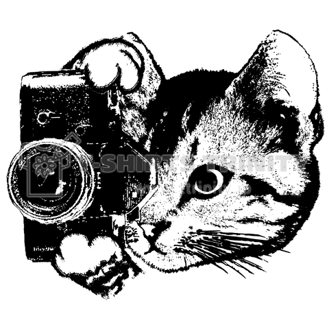 カメラマンの猫