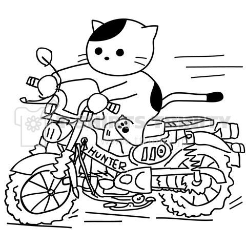 バイクで走る猫