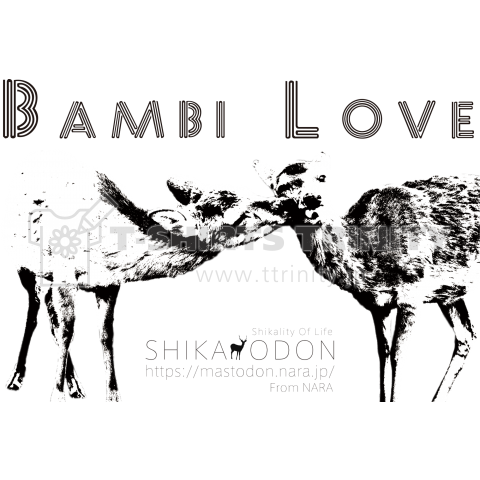 ShiCouple(BAMBI LOVE)